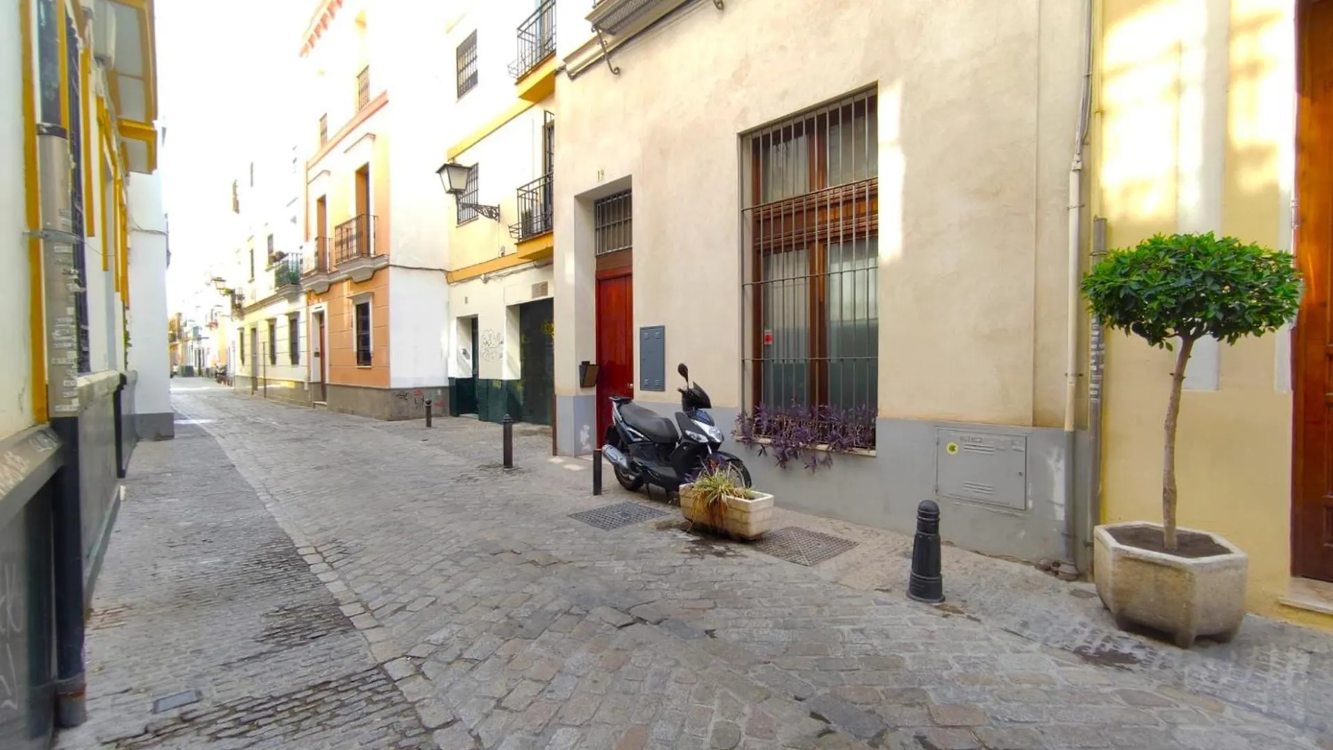 Apartment Alfaqueque Suite Seville Spain